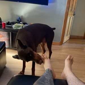 Meet your Posher, Rocky